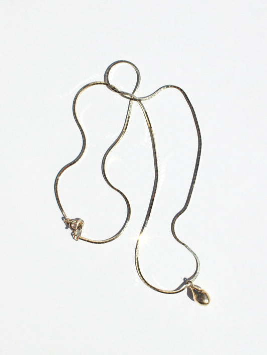 inodore-seasonless-14k-oilve-shell-necklace